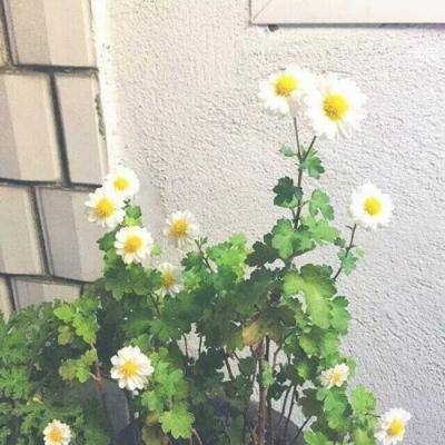 太古封魔录之御剑诀官方版下载