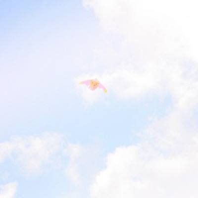 风云岛行动公测版游戏下载